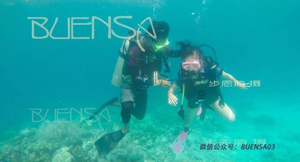 植物大战僵尸2