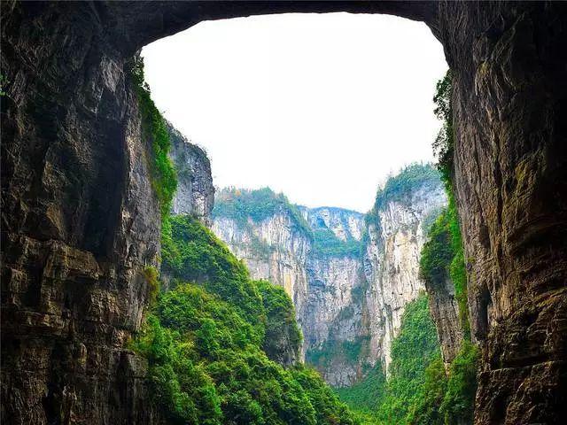 牛奶不能和什么食物一起吃游戏画面